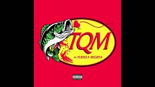 TQM fuerza regida official