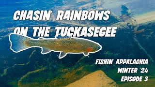 Trout Fishing the Tuckasegee River | Cullowhee NC |  February 2024