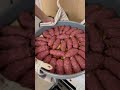 Kofta And Tahini Bake Youtube Shorts Youtubeshorts Arabic Food Love Middleeast Jordan 
