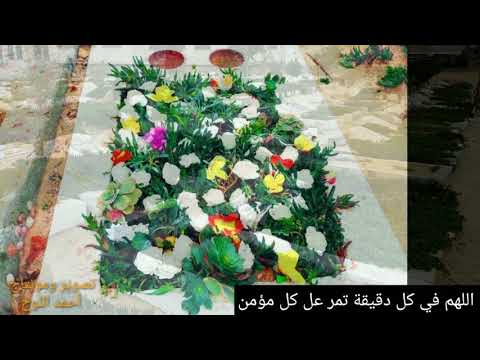 مقبرة دير البلح للهم ارحم امواتا وارحما ي رحيم