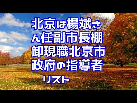 北京は楊斌さん任副市長棚卸現職北京市政府の指導者リスト