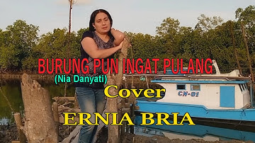 BURUNG PUN INGAT PULANG (Nia Danyati)cover - ERNIA BRIA-Studio DONBERS MALAKA Chanel (SDM)-TV Malaka