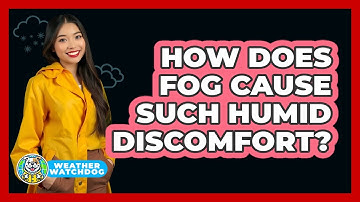 How Does Fog Cause Such Humid Discomfort? - Weather Watchdog