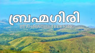 Wayanad Adventure: Conquering Bramagiri Hills (Ep. 1) | Leech Attack & Breathtaking Views!