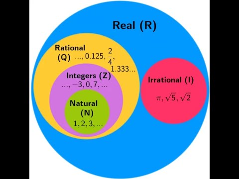 Numeros enteros y racionales