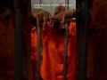 🔒 Prison Escape Movies That Are Genius #Shorts