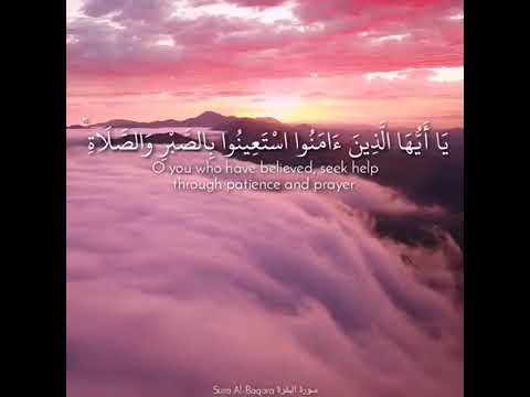 ٢٤ فبراير ٢٠٢٤