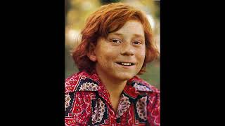 Famous Danny Bonaduce - 59th Street Bridge Song (Feelin’ Groovy) Wealth