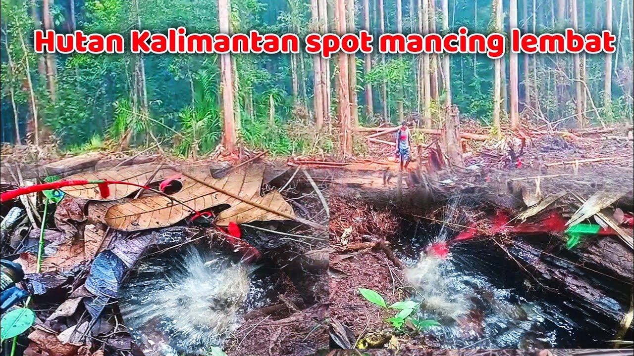 UNIQUE FISHING !! DIMANA ADA LUBANG DISITU LEMBAT BERADA || MANCING ...