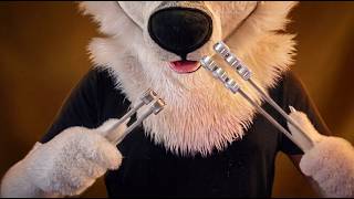 Tuning Fork that makes you go brrrr [FURRY ASMR]