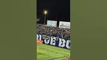 Bad Blue Boys U Varaždinu Shorts 