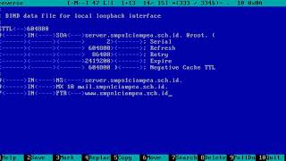 DNS Server Debian 5 Lenny 100% Work