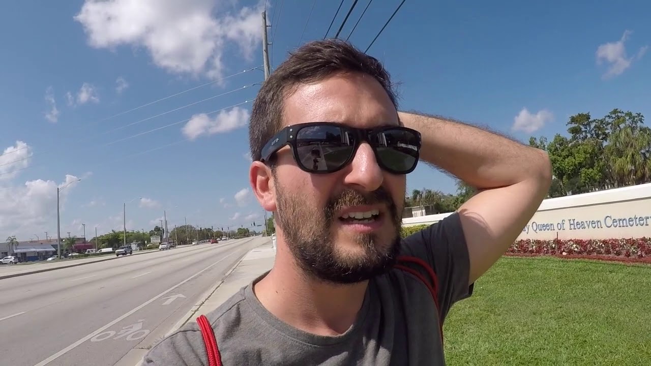 Músico de crucero: capítulo 1