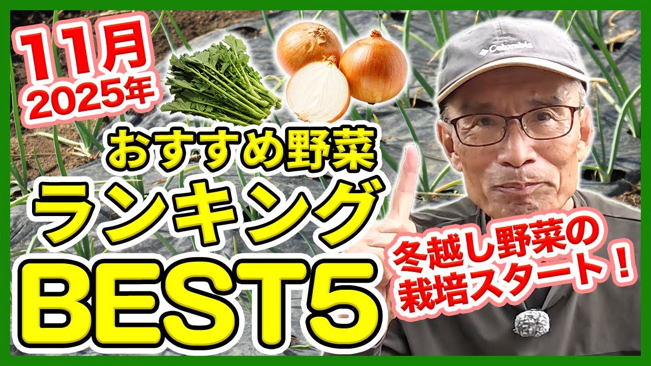 Top 5 Recommended Vegetables for Home Gardening and Farming in