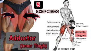 Best 5 Exercises \