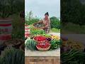 Chinese aunty ki 🐸 or 🐢 pakwan          #shorts #shortvideo #shortsfeed #shortvideo #shortsviral