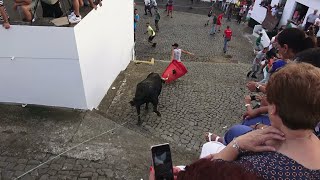 Festas Ladeira Grande 2022 - Ganadarias JG & RB - Ilha Terceira - Açores - Portugal