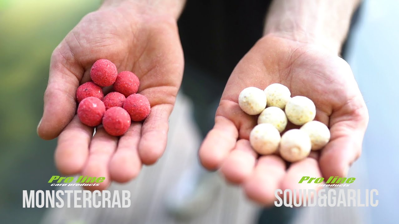 3 wintertips van Niels van Vooren !