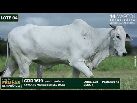 LOTE 04 GRR 1619