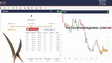 BOT BINARY PTERODACTLY IN BINARY.COM 10$ DAY EASY FORM