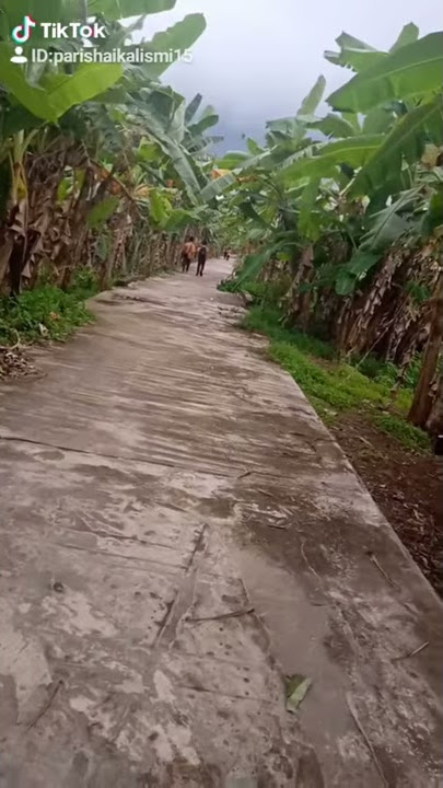 Orang sedang berjalan