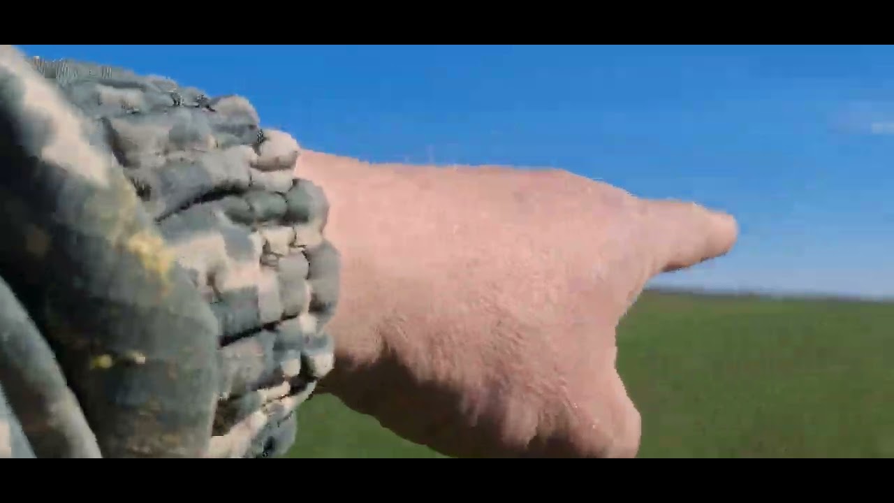 Каролина 5. Норма 100кг