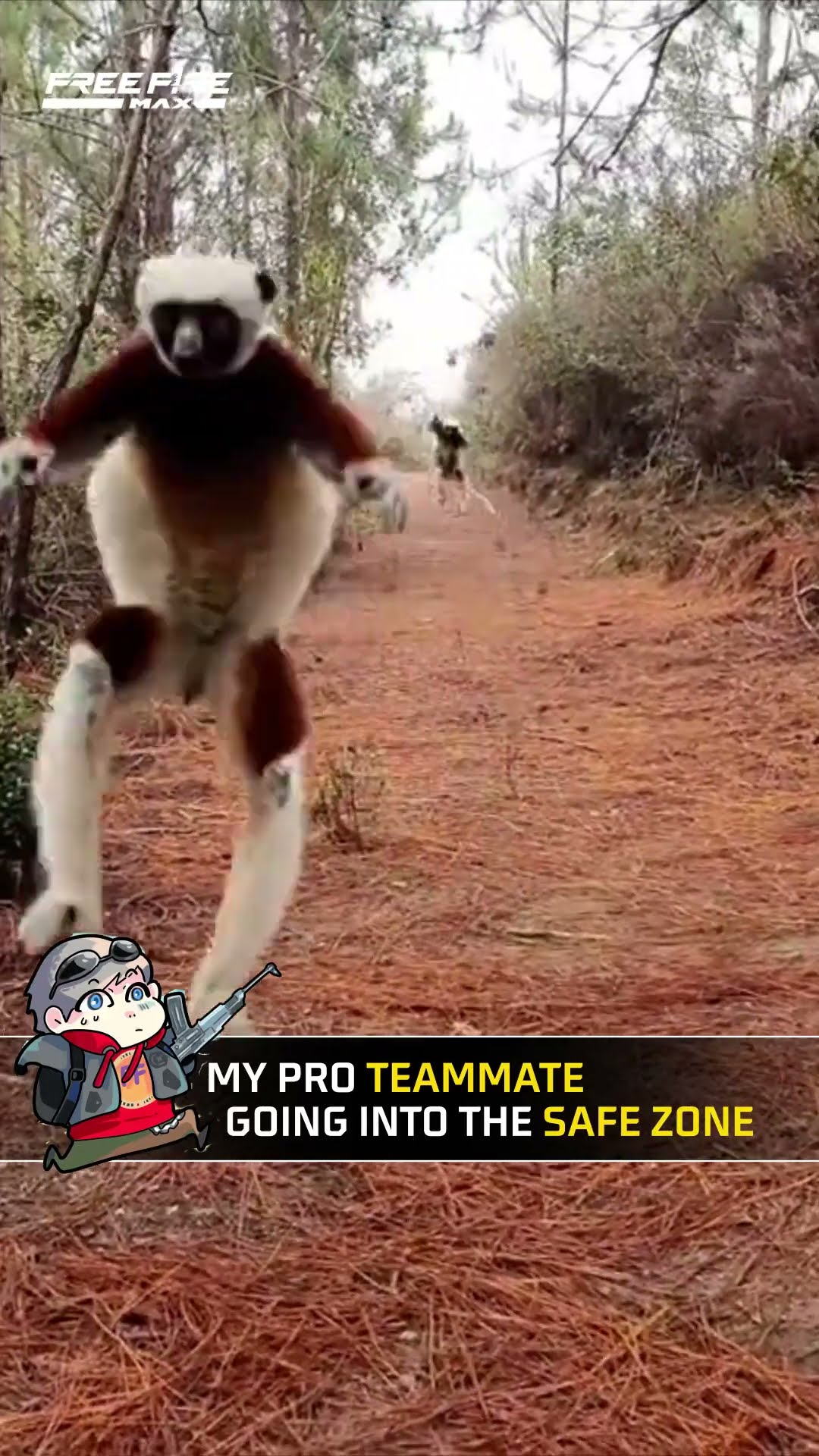 Pro Teammate Entering Safe Zone | Free Fire Max