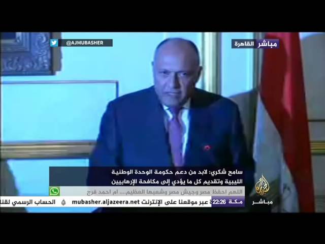 مؤتمر صحفي لوزير الخارجية المصري وممثلة الشؤون الخارجية للاتحاد الوروبي فيدريكا موغريني