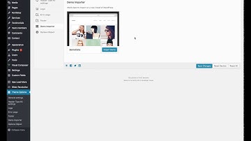 Nexa - WordPress Theme How to install and import demo content