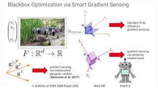 Optimizing Simulations with Noise-Tolerant Structured Exploration