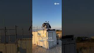 Download Lagu We hebben een kattenvideo door het zonnestelsel gestuurd! 🐱✨ MP3