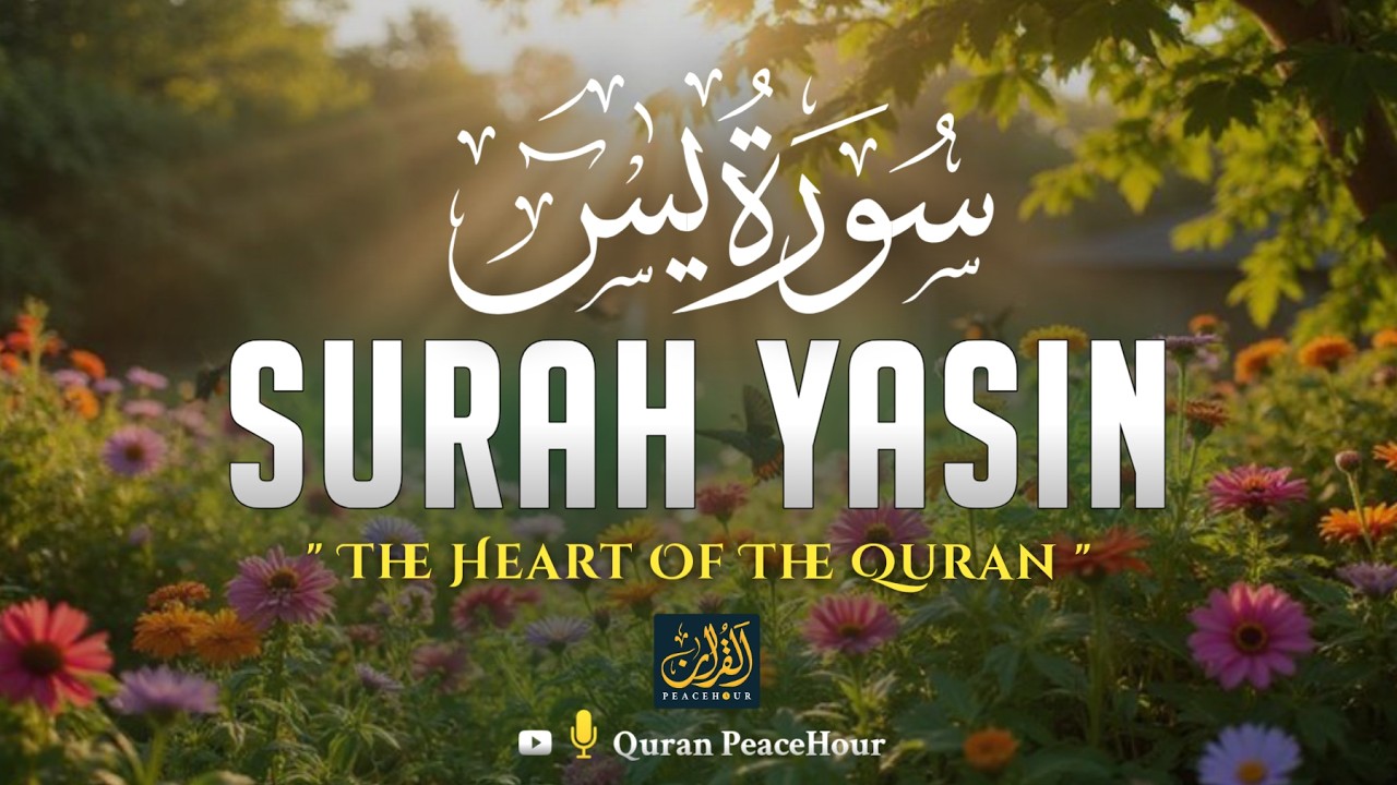 Surah Yaseen | سورة يس | Peaceful Quran Recitation to Relax the Heart and Strengthen Faith