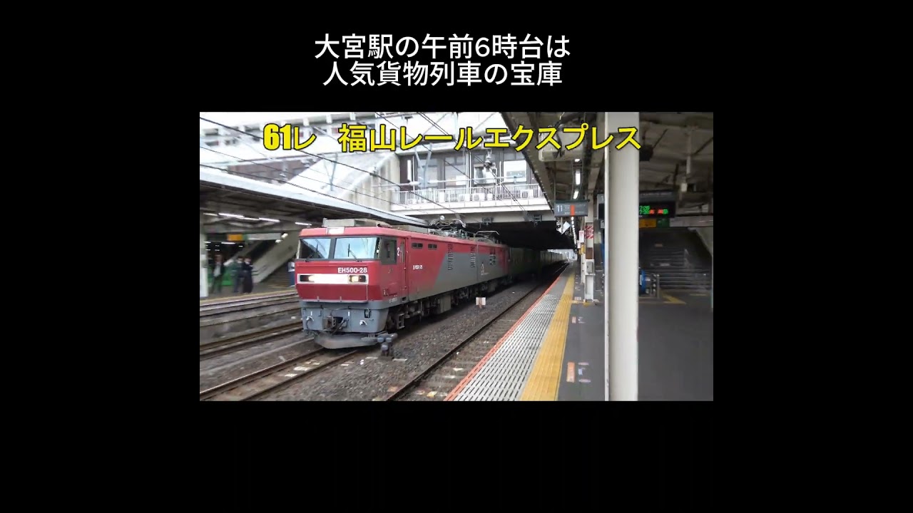 大宮駅の午前6時台は人気貨物列車の宝庫