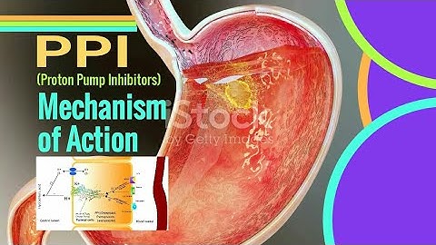 PPI Mechanism of Action || Proton pump inhibitors mechanism of action
