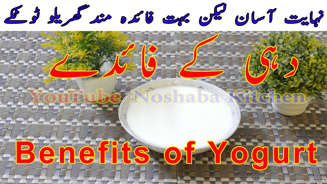4 Best Yogurt Health Benefits in Urdu Hindi Khali Pait Dahi Khane Ke