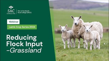 LambCrop 2024: Reducing Flock Input - Grassland