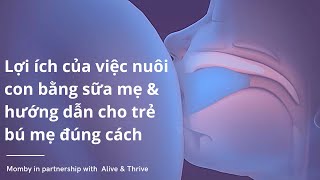 Lợi ích của việc nuôi con bằng sữa mẹ và hướng dẫn cho trẻ bú mẹ đúng cách