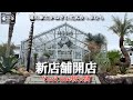 【初公開】GOOD DAYS高根沢店プレオープン！YouTube初潜入の新店舗をご覧ください。塊根植物好き、ドライガーデン好きの新たな楽園に....