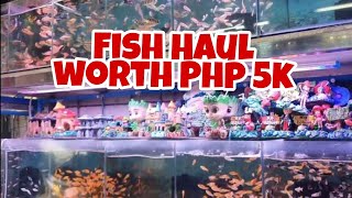 Buying Monster Fish and Cichlids at the Biggest Pet Market in Manila