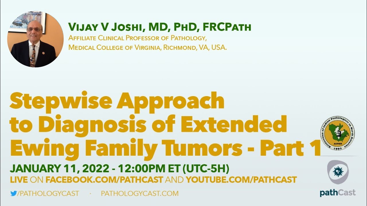 Stepwise approach to diagnosis of extended Ewing family tumors - part 1 ...