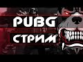 🔥ВРЫВАЕМСЯ В PUBG STEAM /СТРИМ ПУБГ/ СТИМ ПАБГ  🔥