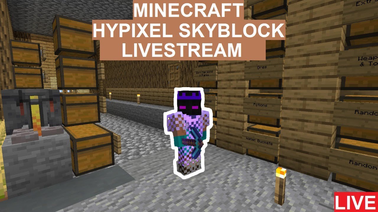 Playing Skyblocks | LIVE 🔴 | MINECRAFT | - YouTube