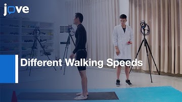 Lower-Limb Biomechanical Characteristics Associated: Unplanned Gait Termination l Protocol Preview