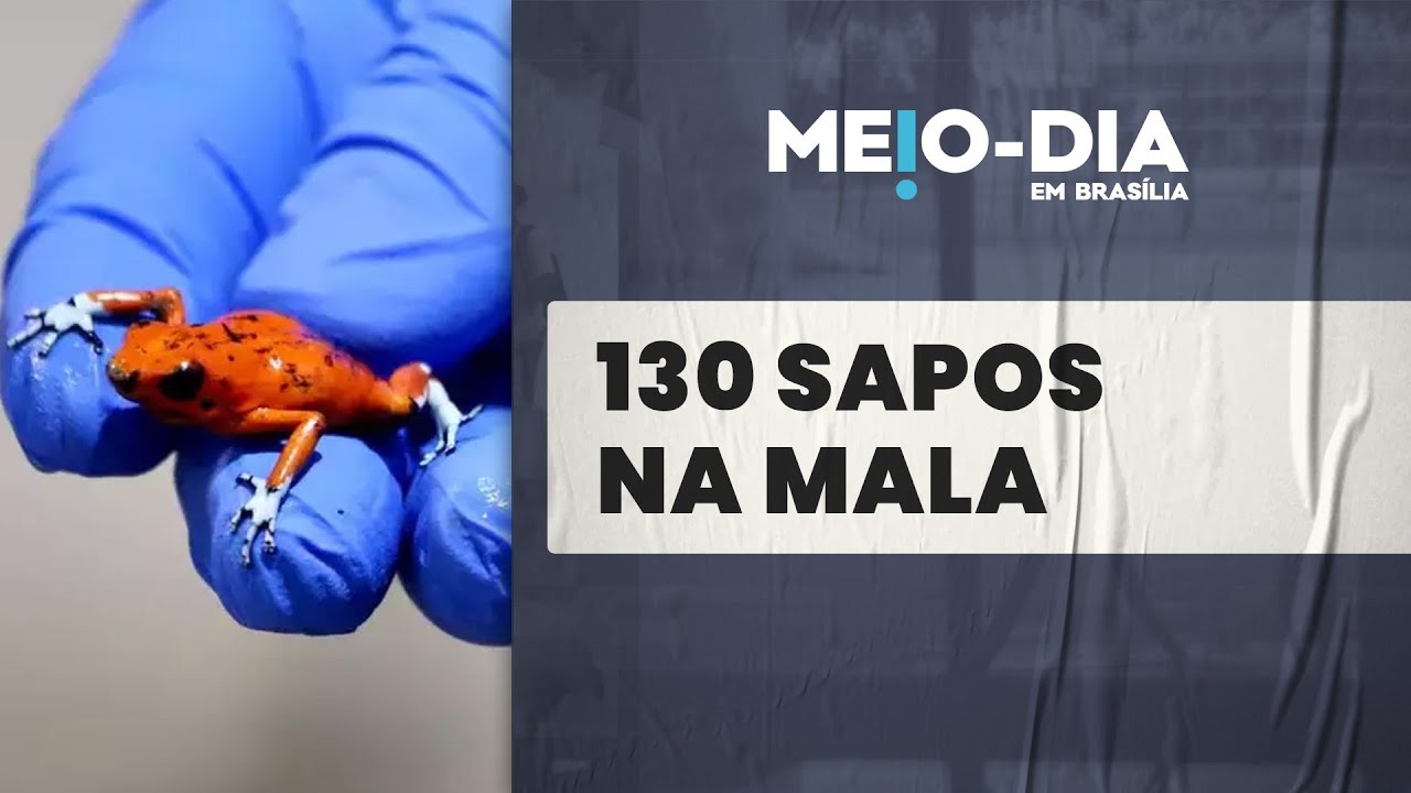 Brasileira é presa na Colômbia com 130 sapos venenosos na mala