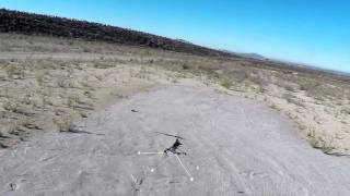 Align Trex 450 Plus Maiden w/Training Gear