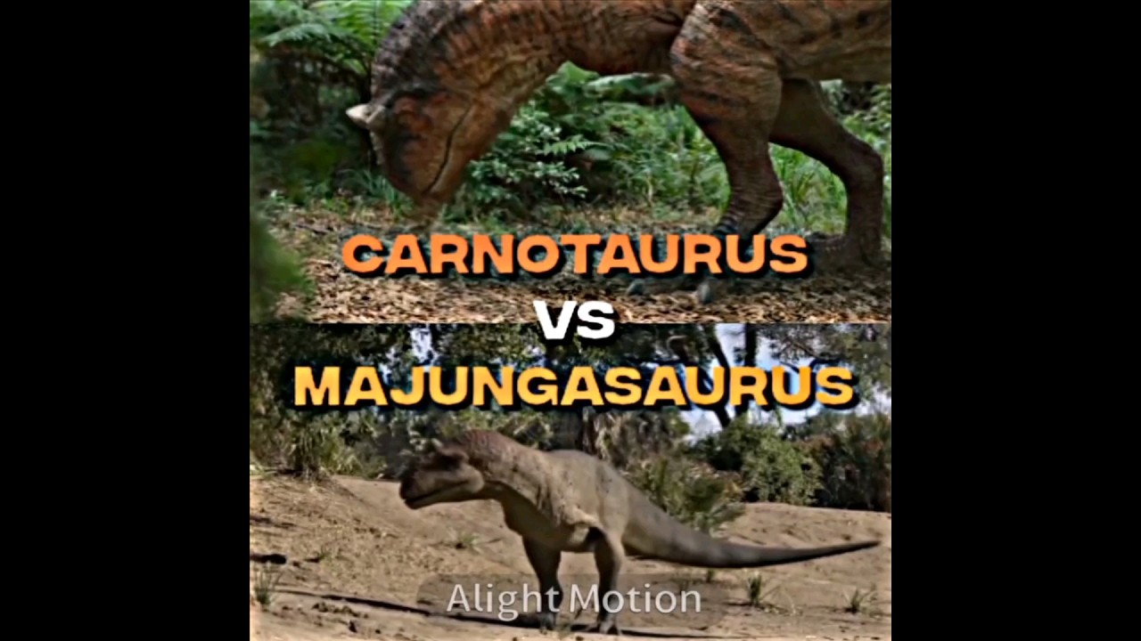 Carnotaurus vs Majungasaurus 