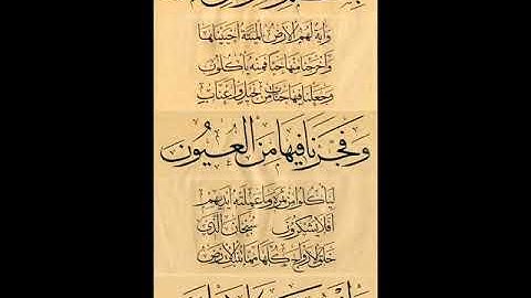 تلاوة للقارئ يحفظ محمد الشنقيطي سورة يس كاملة تراويح 1438 هـ
