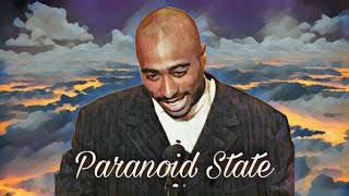 2Pac - Paranoid State [Prob by: d9wn x Yeyzo & primo] (New 2023 Remix)