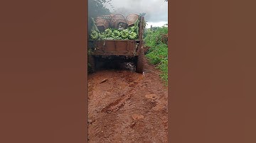 #review xe công nông chở chuối