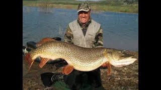 PIKE FISHING MONSTER PIKE, HUGE WORLD RECORD